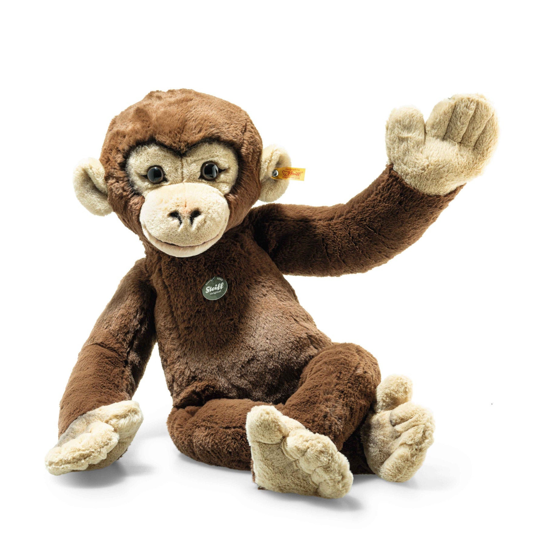 Rocko Chimp