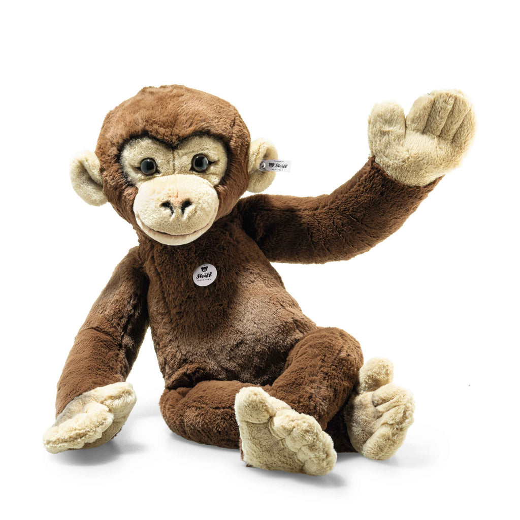 Rocko Chimp
