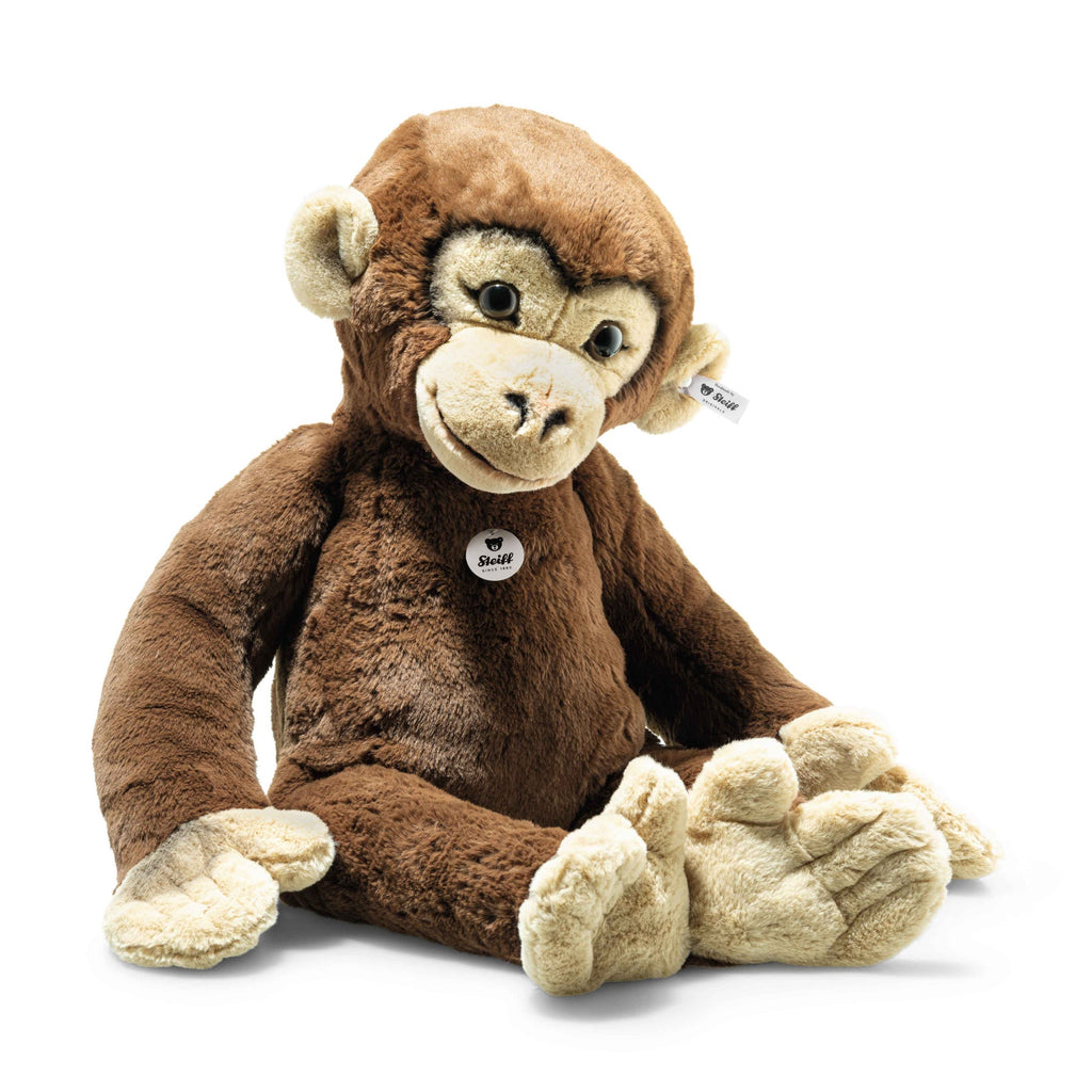 Rocko Chimp