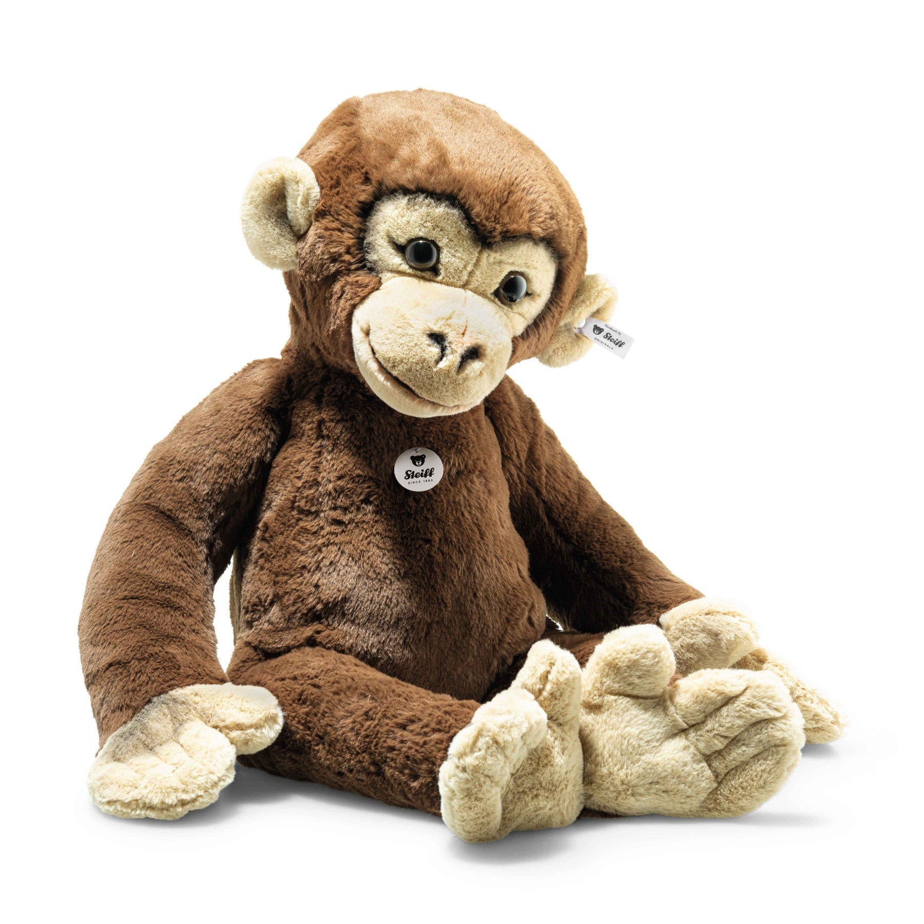 Rocko Chimp