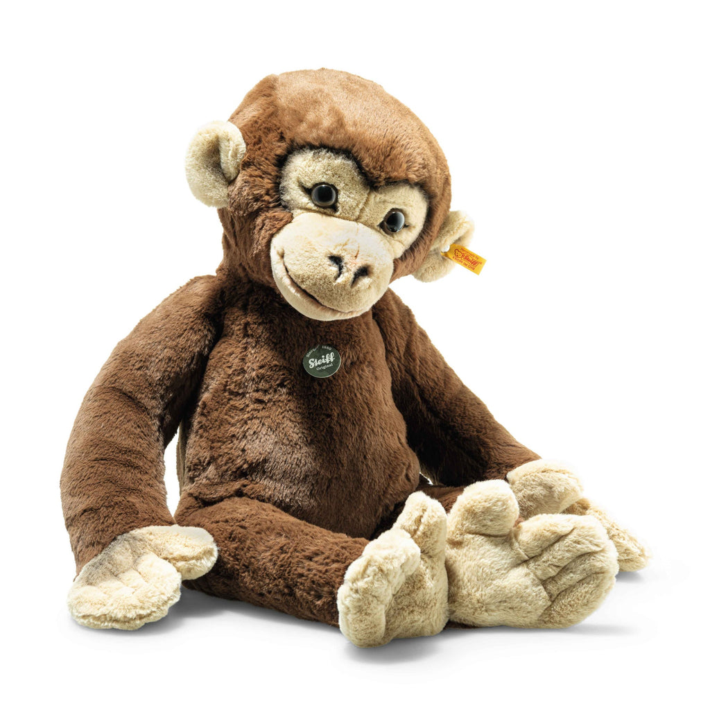 Rocko Chimp
