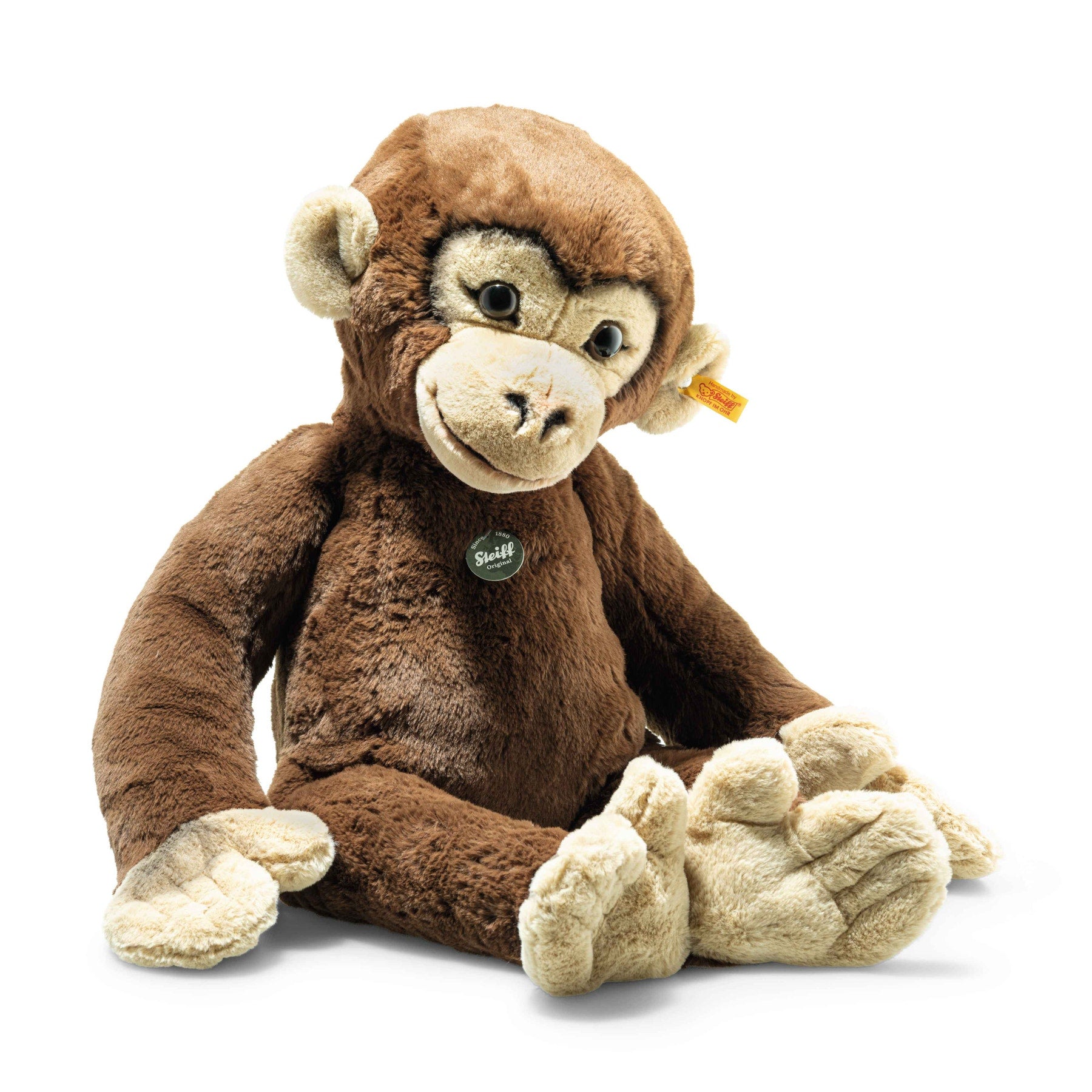 Rocko Chimp