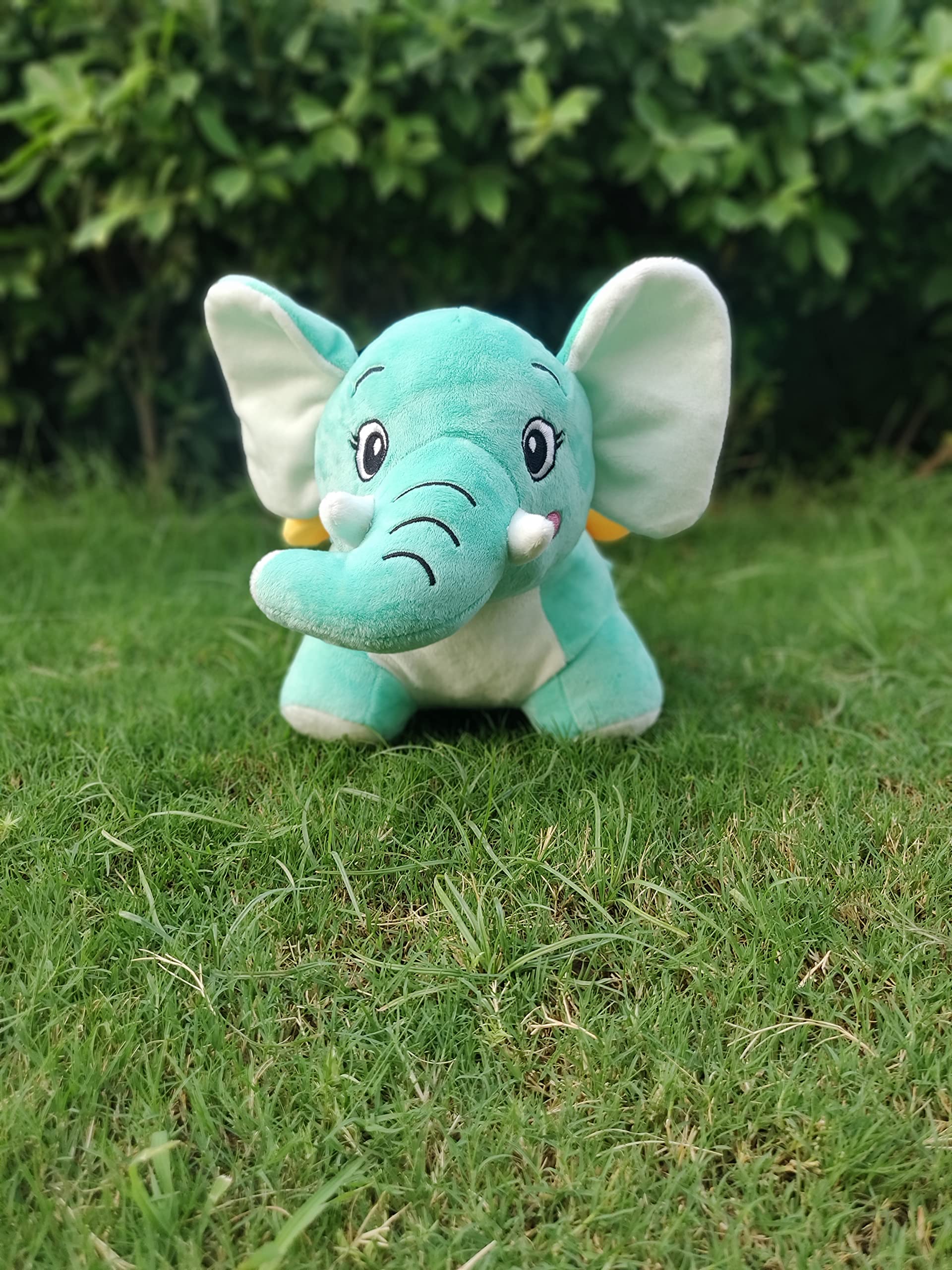 TootyFrooty Jumbo